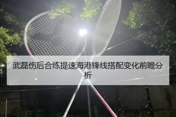 武磊伤后合练提速海港锋线搭配变化前瞻分析 - LanShi